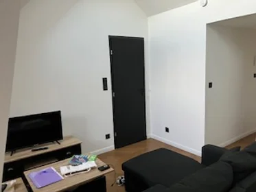 Entire apartment at Rue de Lemery, image 9 of 11