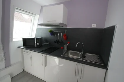 Prywatny pokój Rue Jean Francois Desrousseaux, obraz 5 12