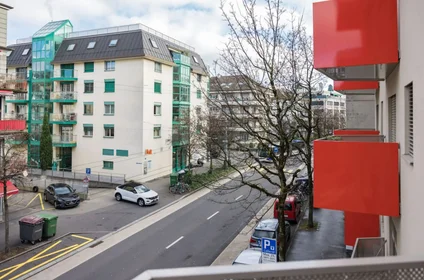 Stanza privata in Avenue de Cour, immagine 7 di 7