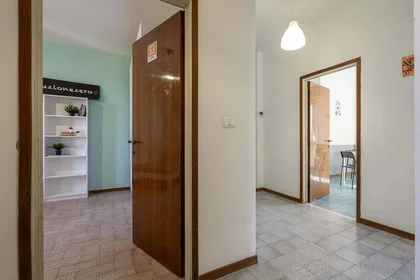 Stanza privata in Via Giovan Battista Pellizzi, 1, 56127 Pisa PI, Italy, immagine 15 di 16
