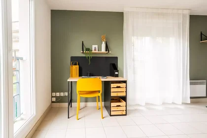 Stanza privata in Rue du Petit Tour, immagine 3 di 25