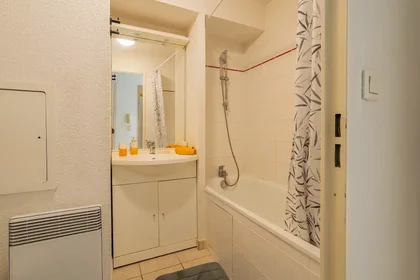 Stanza privata in Rue du Petit Tour, immagine 7 di 25