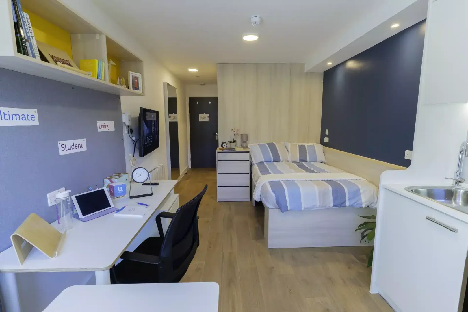 Estudio minimalista para estudiantes en  con distribución eficiente