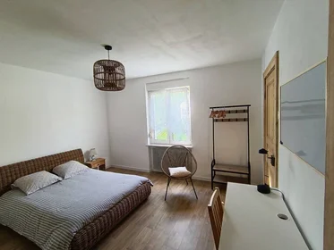 Homestay at Mulhouse, 68200, image 1 of 8