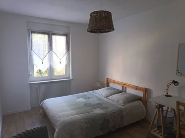 Homestay Mulhouse, 68200, obraz 8 8