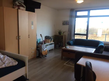 Chambre privée à Parelstraat, image 1 de 6
