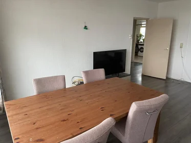 Prywatny pokój Marco Pololaan, obraz 2 9