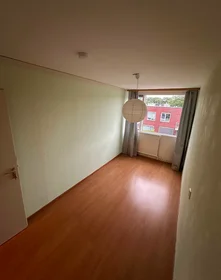 Gesamte Unterkunft in der Brookhuislanden, bild 4 von 8