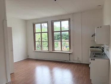 Logement entier à Hooigracht, image 1 de 6