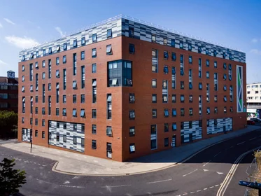 Prywatny pokój w rezydencji Portland Rd, Shieldfield, Newcastle upon Tyne NE2 1DT, United Kingdom, obraz 17 49