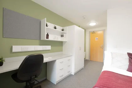 Prywatny pokój w rezydencji Portland Rd, Shieldfield, Newcastle upon Tyne NE2 1DT, United Kingdom, obraz 3 49