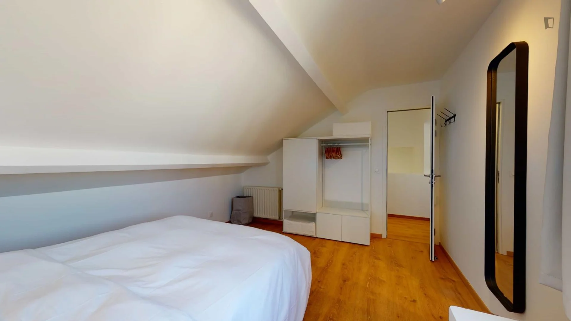 Affordable room for students with ample lighting in