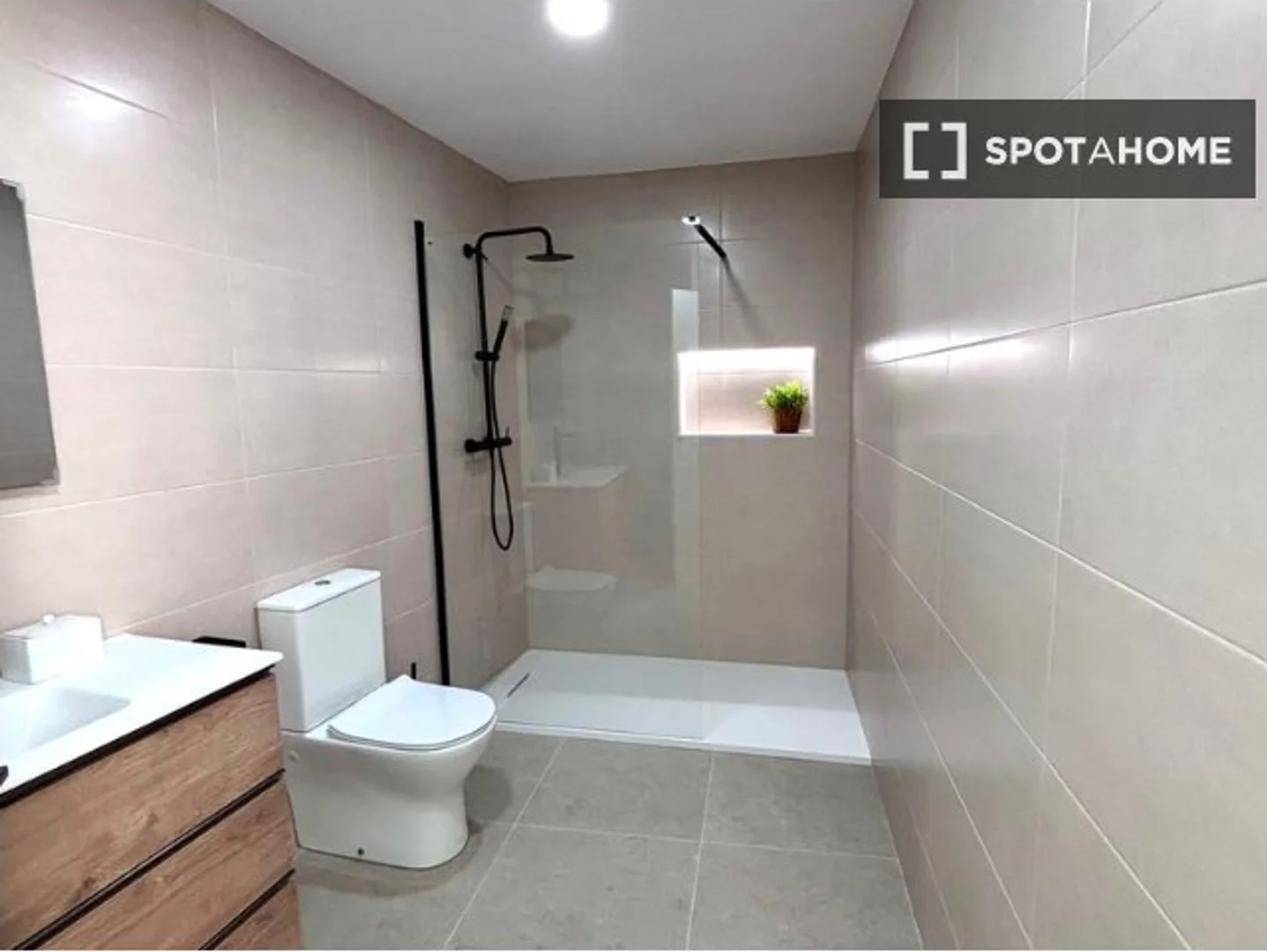 Affordable room for students with ample lighting in 