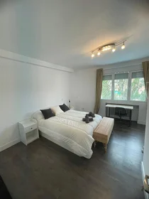 Logement entier à América, image 15 de 24