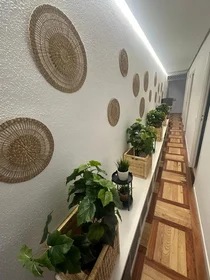 Entire apartment at Cavanilles, image 25 of 25