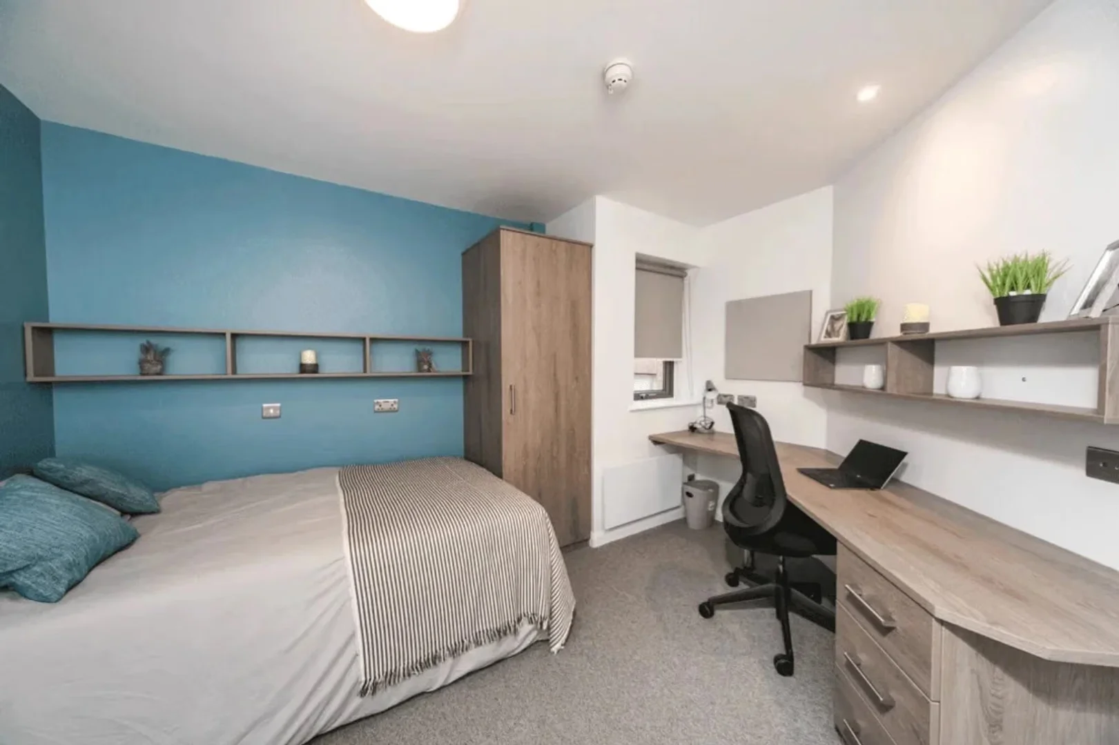 Student room in  with study area and shared facilities