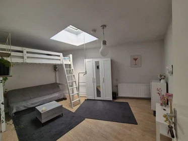 Habitación privada en Heyendaalseweg, imagen 1 de 5