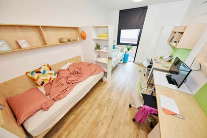 Appartamento intero in 142 Abercrombie St, Sydney NSW 2016, Australia, immagine 1 di 10