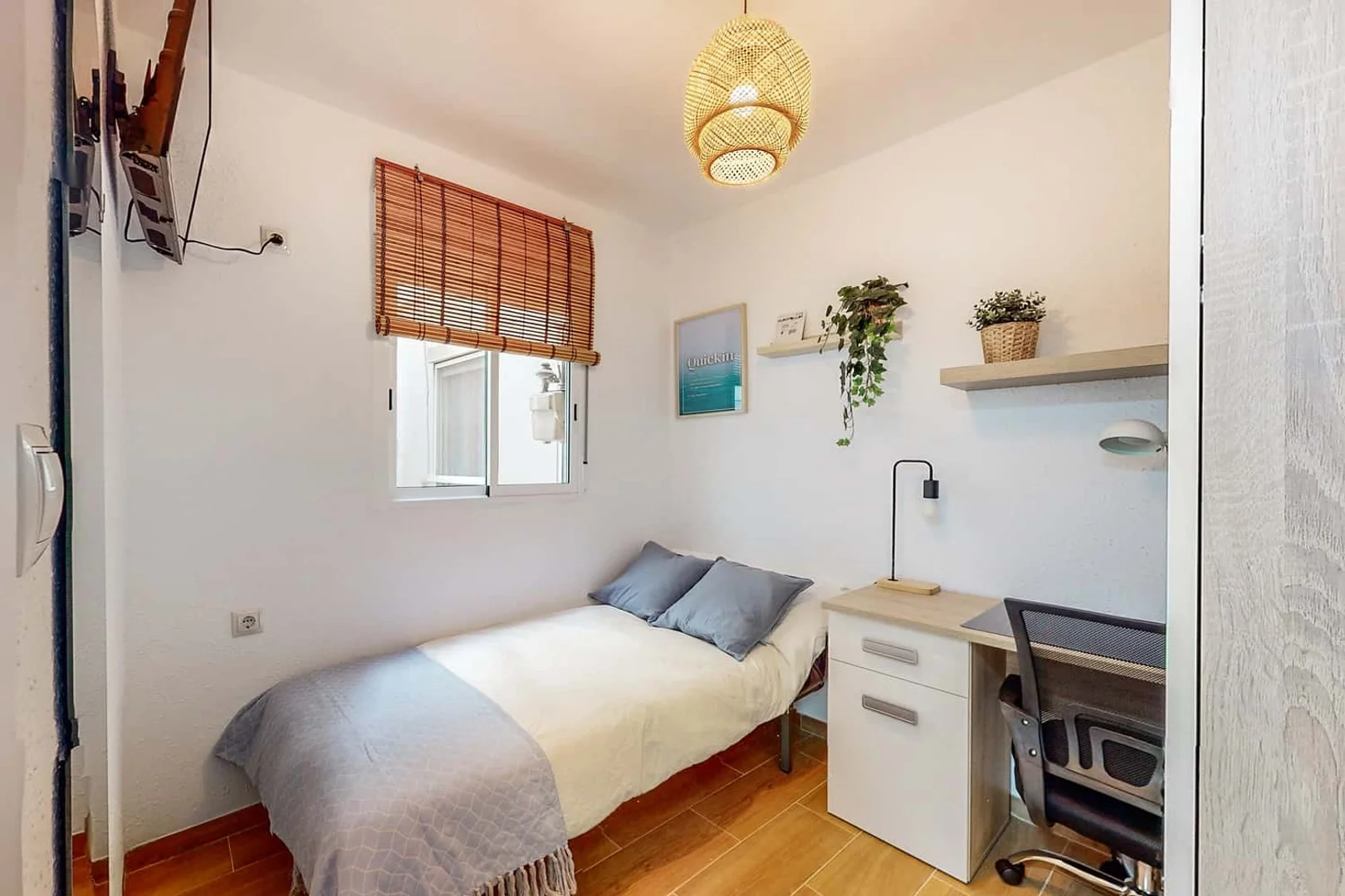 Affordable room for students with ample lighting in