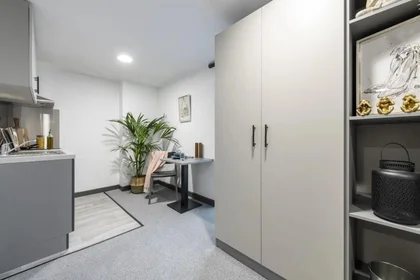 Kawalerka w rezydencji 1 Vauxhall Rd, Birmingham B7 4RB, United Kingdom, obraz 6 27