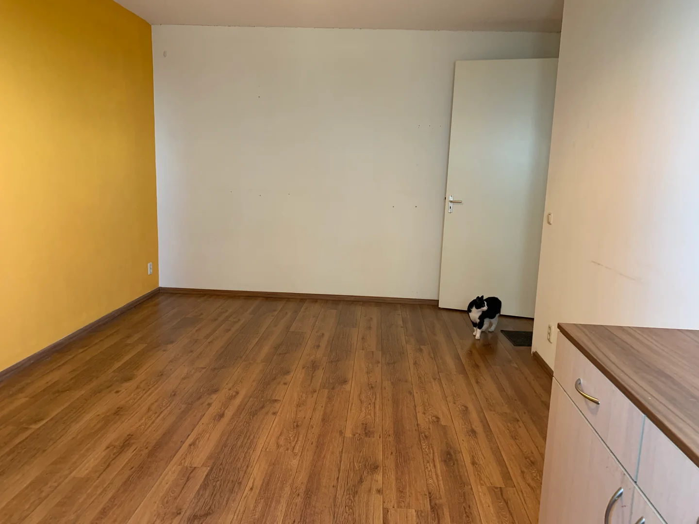 Student room in  with study area and shared facilities
