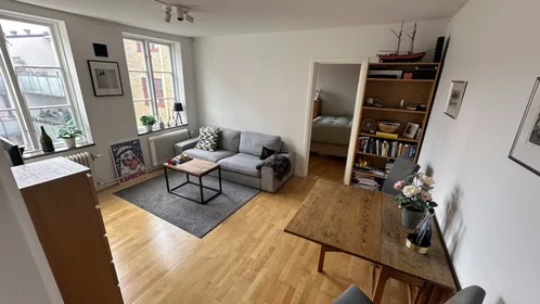 Logement entier à Bredgatan 20 b, image 1 de 6