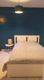Habitación privada en Rue Alfred Curtel, imagen 11 de 13