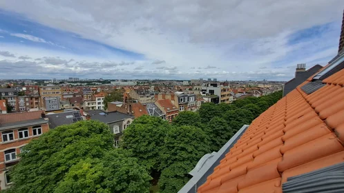 整套公寓 在 Avenue du Roi, 17的图像14