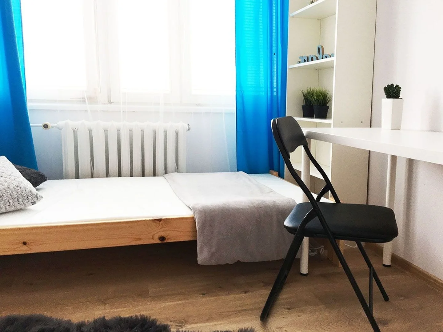 Niedrogi pokój dla studentów z dużym oświetleniem w 