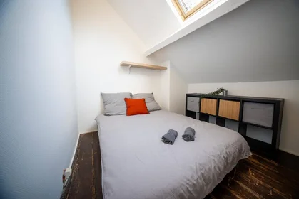 Habitación privada en Valenciennes, 59300, imagen 27 de 29