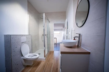Habitación privada en Valenciennes, 59300, imagen 7 de 29