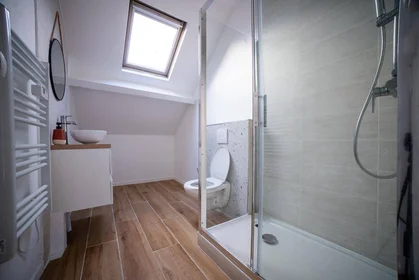 Habitación privada en Valenciennes, 59300, imagen 8 de 29