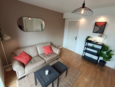 Prywatny pokój Mulhouse, 68200, obraz 1 10