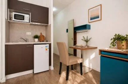 Prywatny pokój w rezydencji Tours, 37000, obraz 3 11