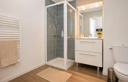 Prywatny pokój w rezydencji Tours, 37000, obraz 6 11