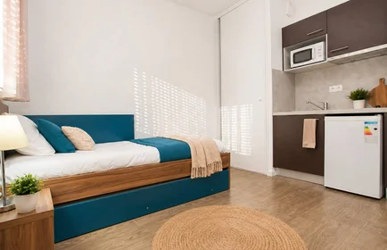 Prywatny pokój w rezydencji Tours, 37000, obraz 7 11