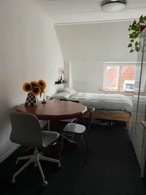 Chambre privée à Kleine Kerkstraat, image 1 de 10