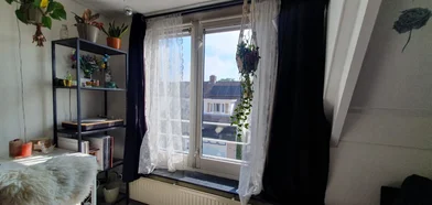 Privatzimmer in der Hoogstraat, bild 4 von 10