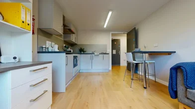Monolocale in residence in Wellgreen Pl, Stirling FK8 2EG, United Kingdom                 , immagine 25 di 28
