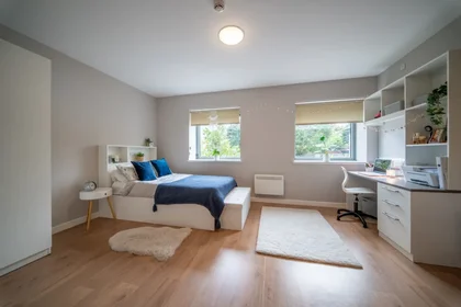 Monolocale in residence in Wellgreen Pl, Stirling FK8 2EG, United Kingdom                 , immagine 28 di 28
