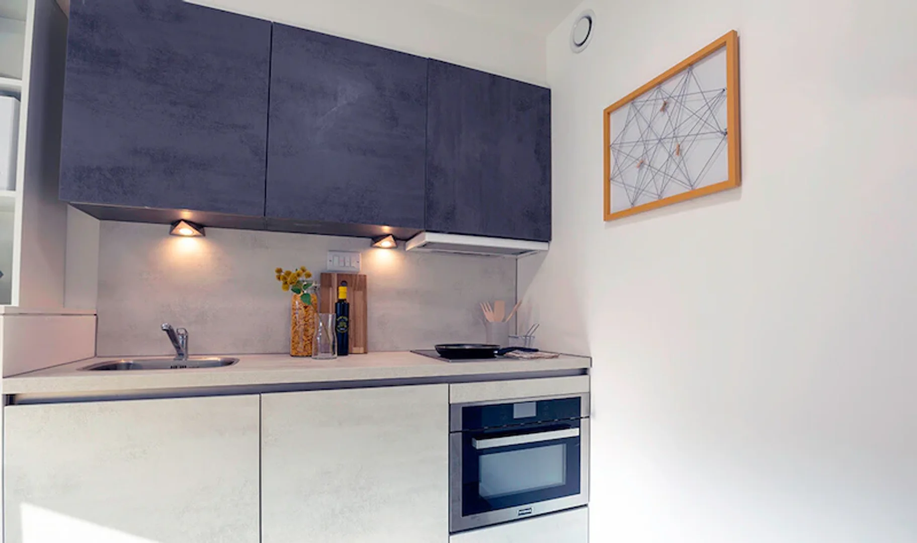  bölgesindeki öğrenciler için tam donanımlı stüdyo daire