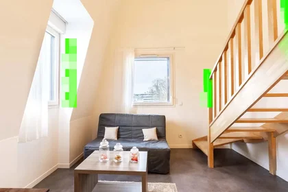 Studio in der Rue Duguay Trouin, bild 1 von 26