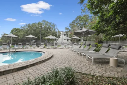 Entire apartment in residence at 14627 Grenadine Dr, Tampa, FL 33613, United States , image 18 of 42