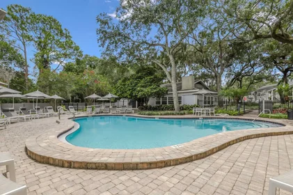 Entire apartment in residence at 14627 Grenadine Dr, Tampa, FL 33613, United States , image 21 of 42