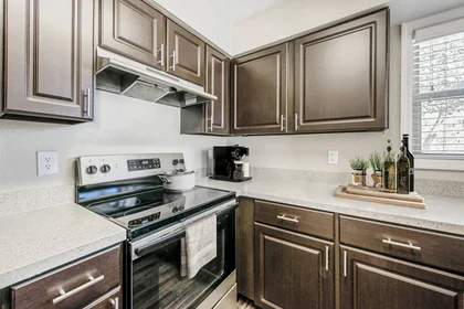 Entire apartment in residence at 14627 Grenadine Dr, Tampa, FL 33613, United States , image 4 of 42