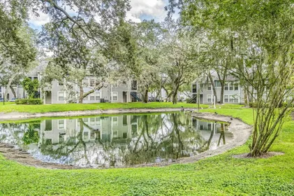 Entire apartment in residence at 14627 Grenadine Dr, Tampa, FL 33613, United States , image 37 of 42