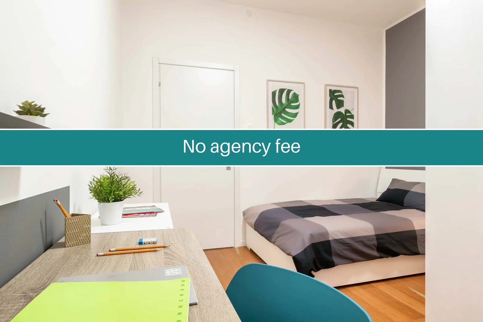 Affordable room for students with ample lighting in