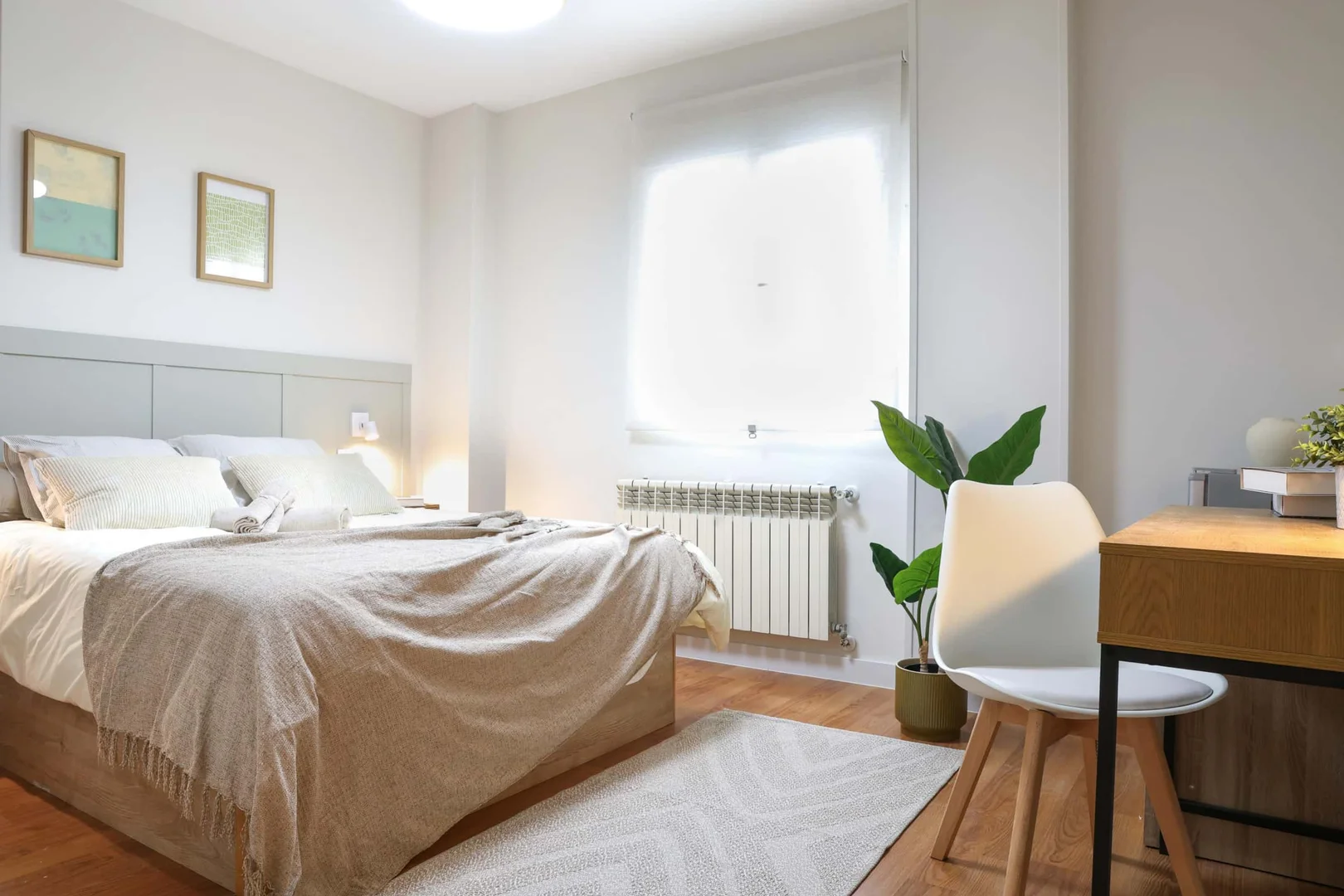 Cozy room for students available in 