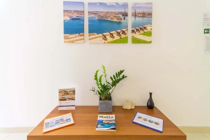 Stanza privata in 109 Triq Il-Ghajn, Is-Swieqi, Malta, immagine 19 di 30