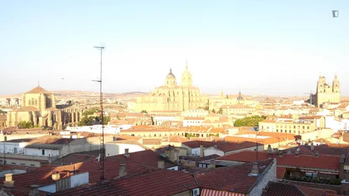 Stanza privata in Paseo de Canalejas, immagine 20 di 20